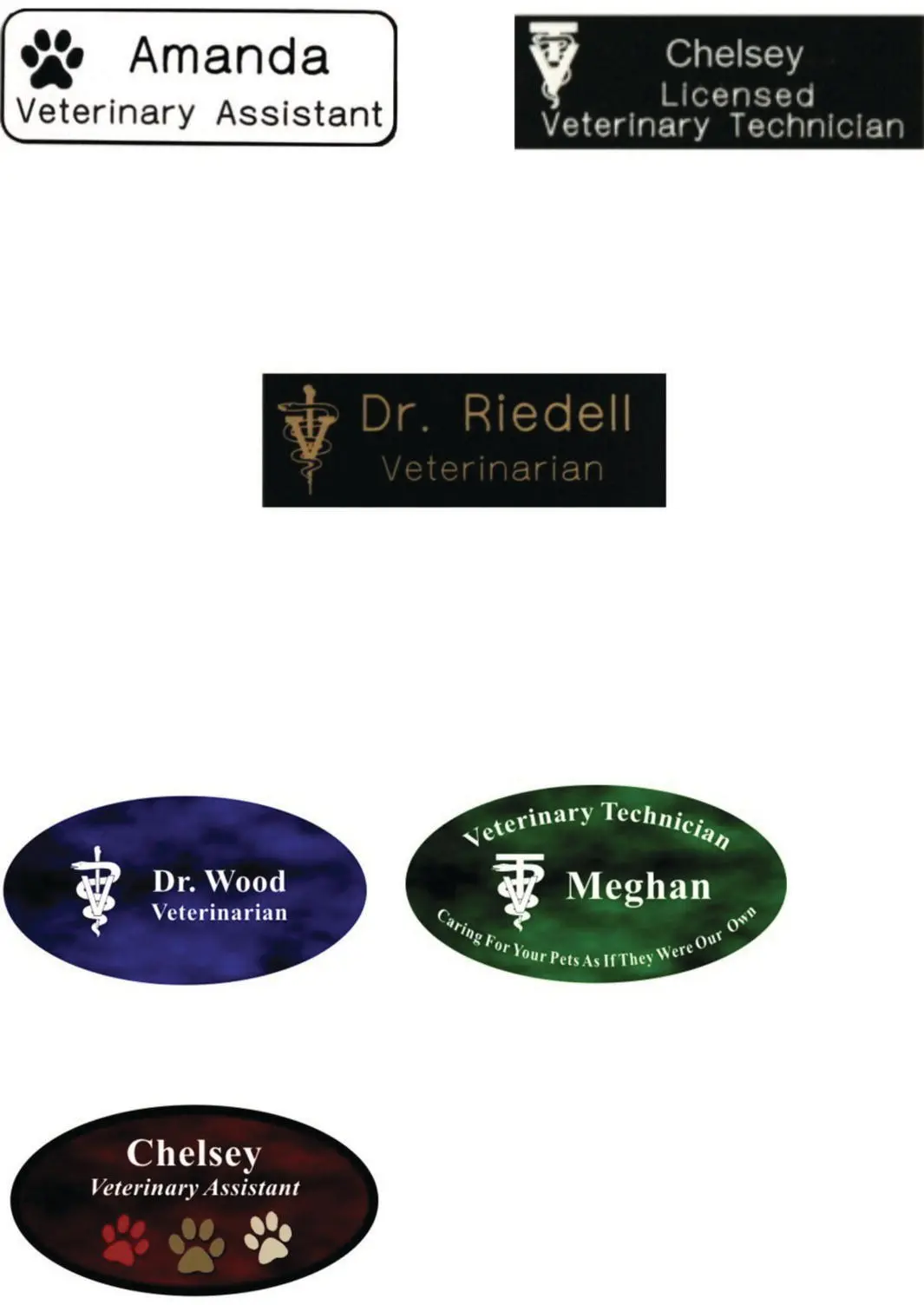 Figure 52 Name badge alternatives Source Courtesy of Kara M Burns LVT VTS - фото 43