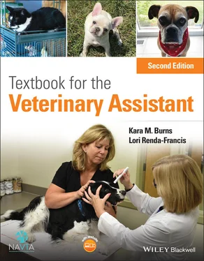 Lori Renda-Francis Textbook for the Veterinary Assistant обложка книги