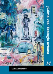 Luis Zambrabo - ¿Cómo ves? Ecología urbana