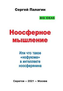 Сергей Палагин Ноосферное мышление. Или что такое нофукома в интеллекте ноосферянина обложка книги