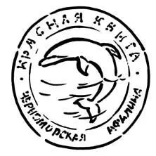 В бизнесе главное знать истинную цену товара это и есть успех Василиса - фото 5