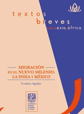Teodoro Aguilar Migración en el nuevo milenio: la India y México обложка книги
