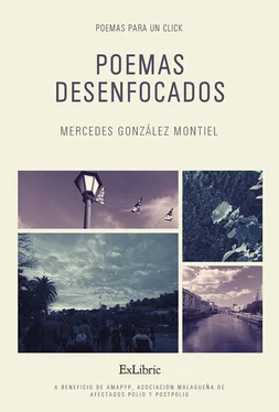 Mercedes González Montiel Poemas desenfocados обложка книги