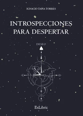 Ignacio Tapia Torres Introspecciones para despertar обложка книги