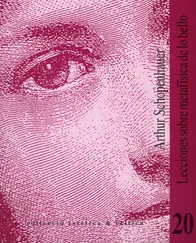Arthur Schopenhauer - Lecciones sobre metafísica de lo bello