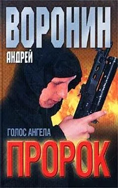 Андрей Воронин Голос ангела обложка книги