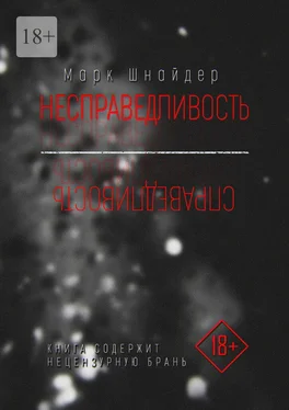 Марк Шнайдер Несправедливость обложка книги