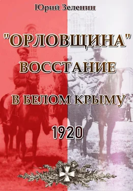 Юрий Зеленин «Орловщина» – Восстание в Белом Крыму. 1920 обложка книги