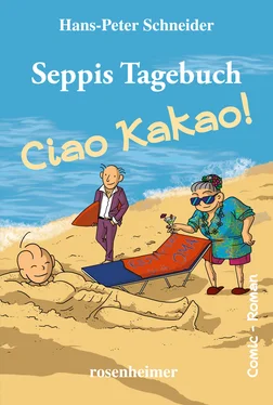 Hans-Peter Schneider Seppis Tagebuch - Ciao Kakao!: Ein Comic-Roman Band 9 обложка книги