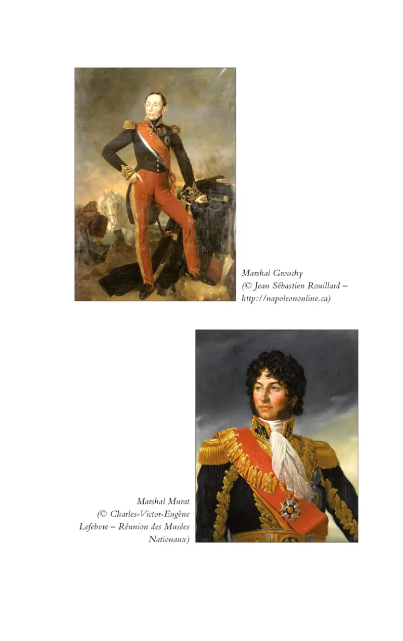 Napoléon Bonaparte - фото 5