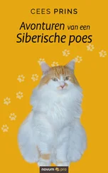 Cees Prins - Avonturen van een Siberische poes