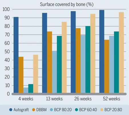 Fig 238Percentage of grafting material surface covered with new bone in - фото 105