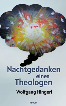 Wolfgang Hingerl Nachtgedanken eines Theologen обложка книги