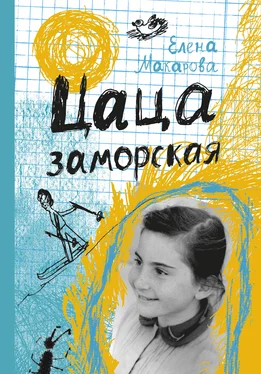 Елена Макарова Цаца заморская (сборник) обложка книги