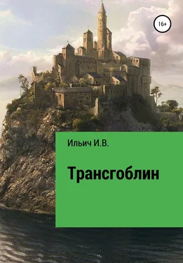 Илья Ильич Трансгоблин обложка книги