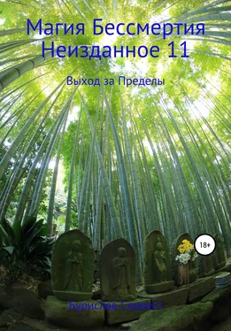 Бурислав Сервест Магия Бессмертия. Неизданное 11. Выход за Пределы обложка книги