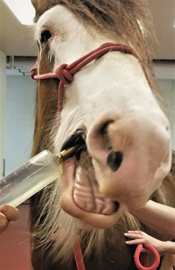 Figure 11 Rinsing of the mouth with water prior to induction of anesthesia - фото 2