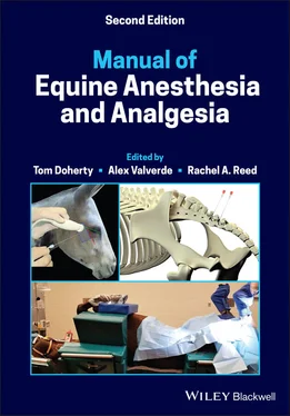 Неизвестный Автор Manual of Equine Anesthesia and Analgesia обложка книги