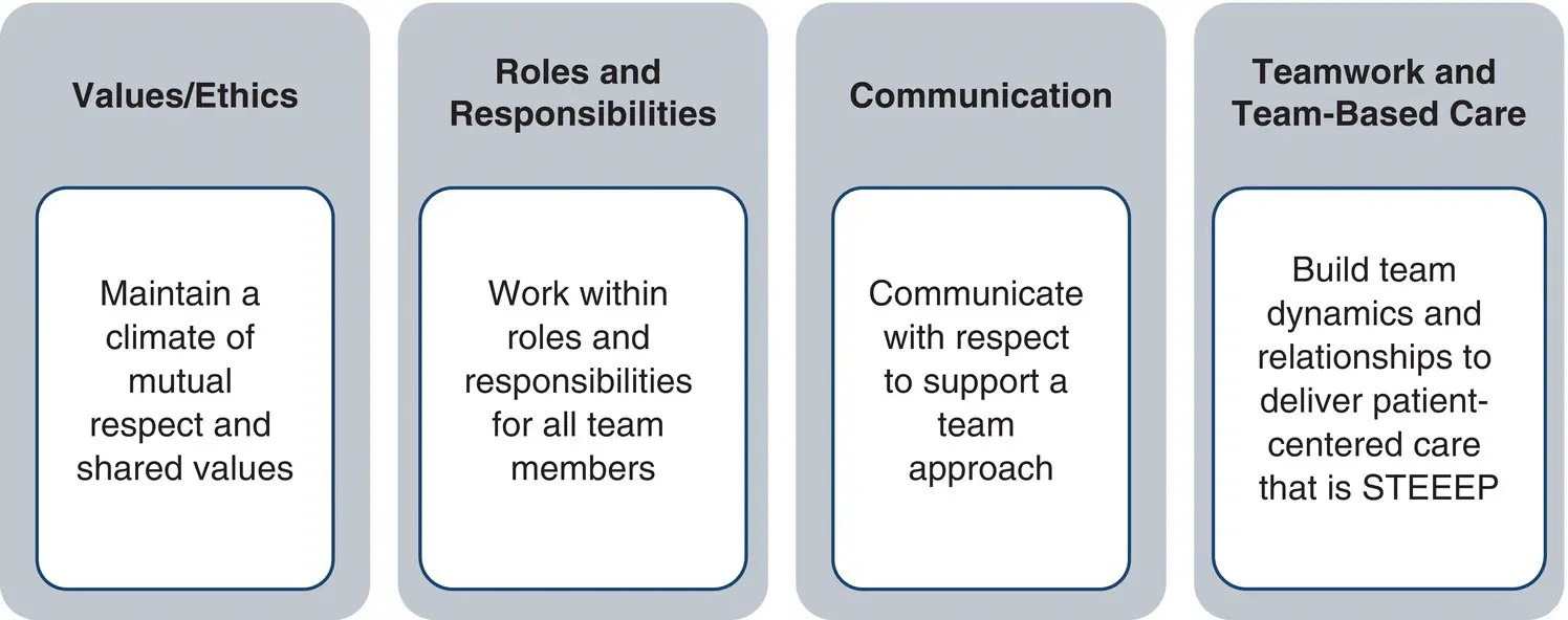 Figure 12Interprofessional competency domains for education and practice - фото 4
