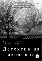 Анастасия Калько - Детектив на изоляции