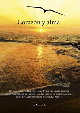 Hevens Corazón y alma обложка книги