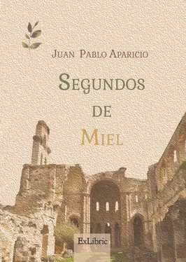 Juan Pablo Aparicio Campillo Segundos de miel обложка книги