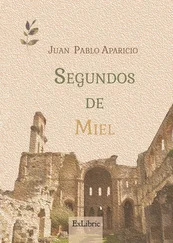 Juan Pablo Aparicio Campillo - Segundos de miel