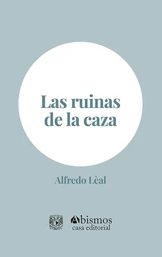 Alfredo Lèal Las ruinas de la caza обложка книги