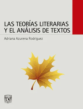 Adriana Azucena Rodríguez Las teorías literarias y el análisis de textos обложка книги