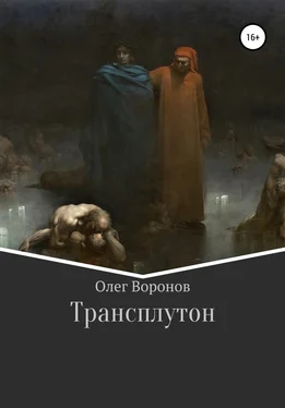 Олег Воронов Трансплутон обложка книги