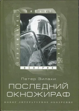 Петер Зилахи Последний окножираф обложка книги