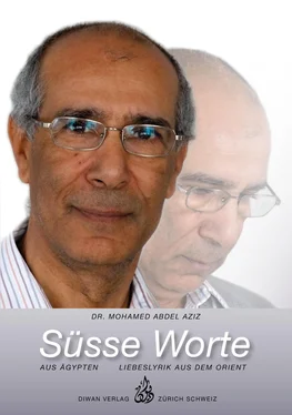 Mohamed Abdel Aziz Süsse Worte aus Ägypten обложка книги