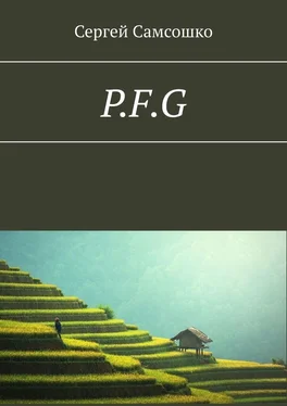 Сергей Самсошко P.F.G обложка книги