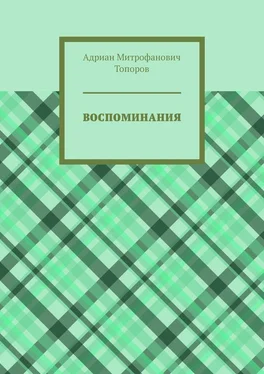 Адриан Топоров Воспоминания обложка книги