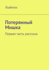 Львёнок - Потерянный Мишка. Первая часть рассказа