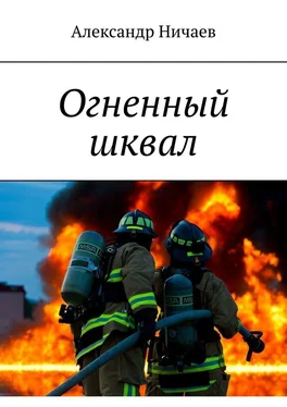 Александр Ничаев Огненный шквал обложка книги