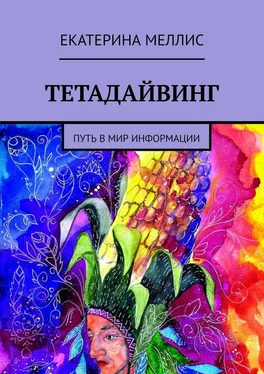 Екатерина Меллис Тетадайвинг. Путь в мир информации обложка книги