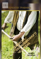 Терентiй Травнiкъ - Записки обыкновенного человека. Книга вторая