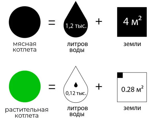 А на производство мясной котлеты нужно около 12 тыс литров воды и 4 м² земли - фото 5