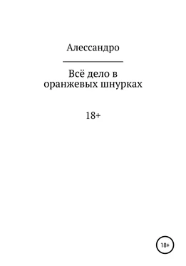 Алессандро Всё дело в оранжевых шнурках обложка книги