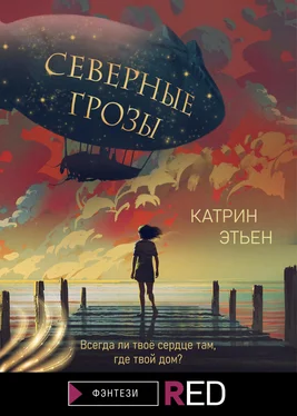 Катрин Этьен Северные грозы обложка книги