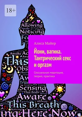 Алиса Майер Йони, вагина. Тантрический секс и оргазм. Сексуальная медитация, теория, практика