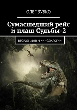 Олег Зубко Сумасшедший рейс и плащ Судьбы – 2. Второй фильм кинодилогии обложка книги