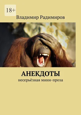 Владимир Радимиров Анекдоты. Несерьёзная мини-проза обложка книги