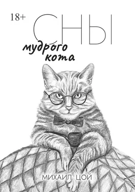 Михаил Цой Сны мудрого кота обложка книги