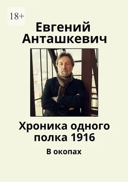 Евгений Анташкевич Хроника одного полка 1916. В окопах обложка книги