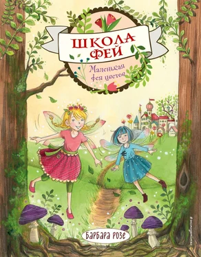 Барбара Розе Маленькая фея цветов обложка книги