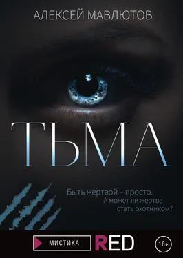 Алексей Мавлютов Тьма обложка книги