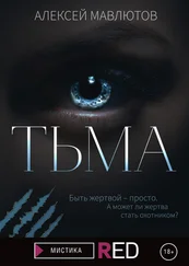 Алексей Мавлютов - Тьма