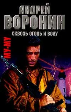 Андрей Воронин Сквозь огонь и воду обложка книги